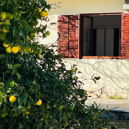 Beachfront Drazen, With Garden And Parking Apartment *