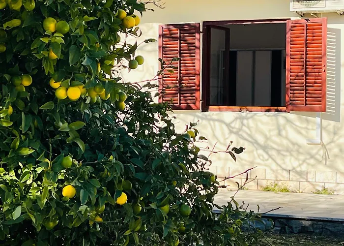 Beachfront Drazen, With Garden And Parking Apartamento *